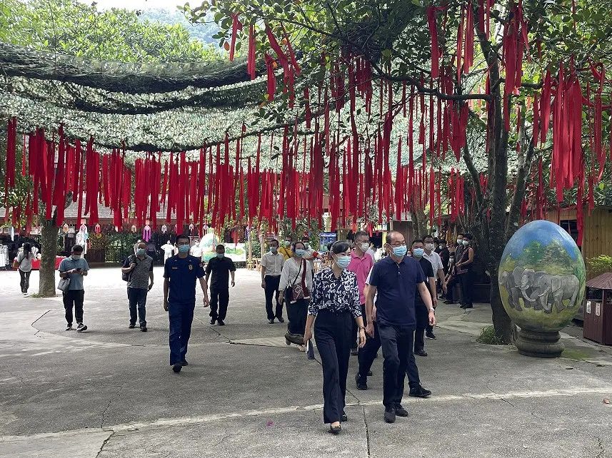 【安全環(huán)?！吭颇鲜“参瘯谑讲榻M到原始森林公園檢查指導(dǎo)-1.jpg